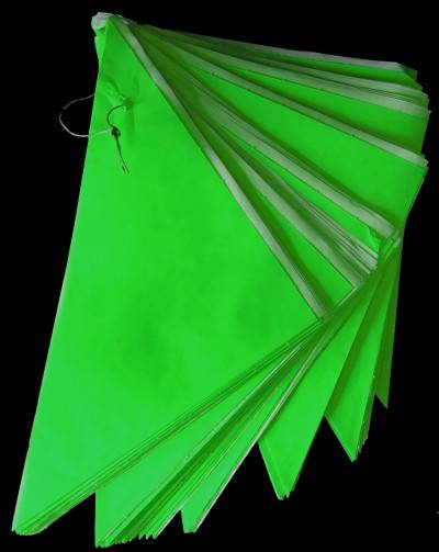 Papierspitztüte 23 cm für 250 g grüne Vollfläche